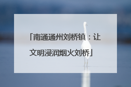 南通通州刘桥镇：让文明浸润烟火刘桥